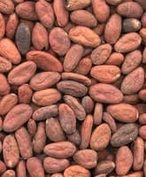 Cocoa beans FOR SALE 700usd per mt